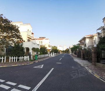 碧桂园滨湖城玉树琼林