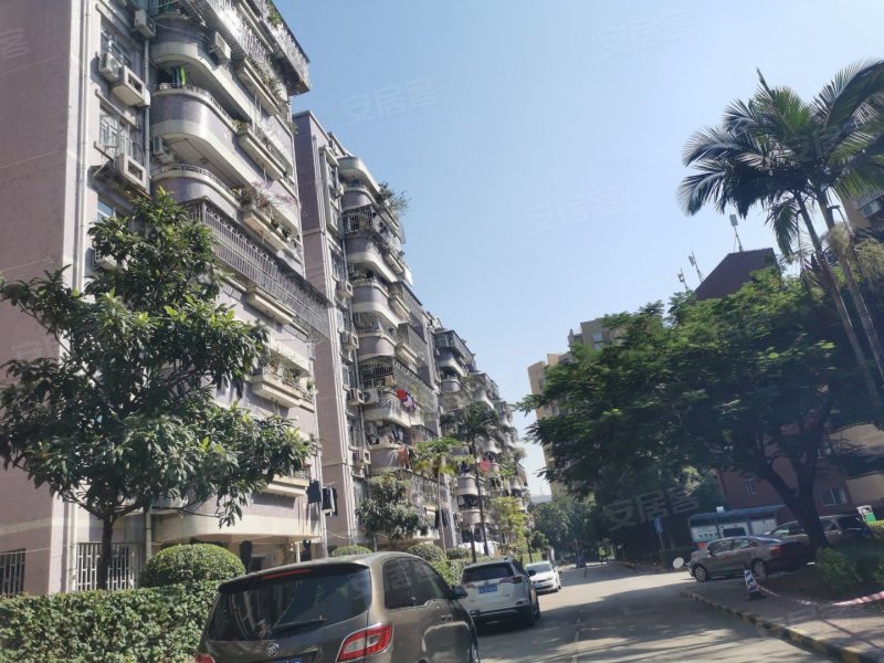 桃源村(一期),龙珠大道33号-深圳桃源村(一期)二手房,租房,房价-深圳