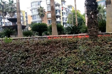 梧桐城邦(三期公寓住宅)