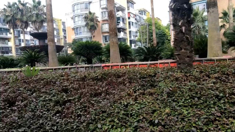 梧桐城邦(三期公寓住宅) 