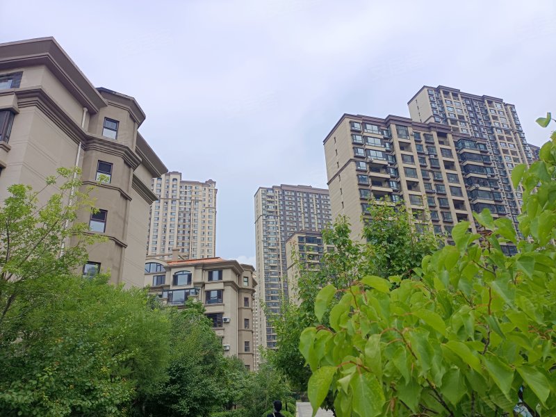 月星中央公园,沈中大街7号-沈阳月星中央公园二手房,租房,房价-沈阳