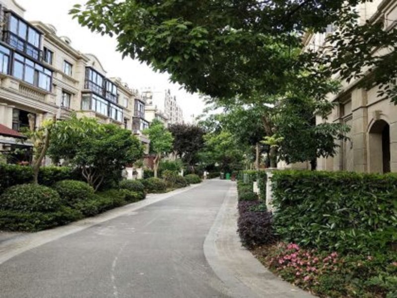 绿地凯旋宫(别墅),仓华路999弄-上海绿地凯旋宫(别墅)二手房,租房