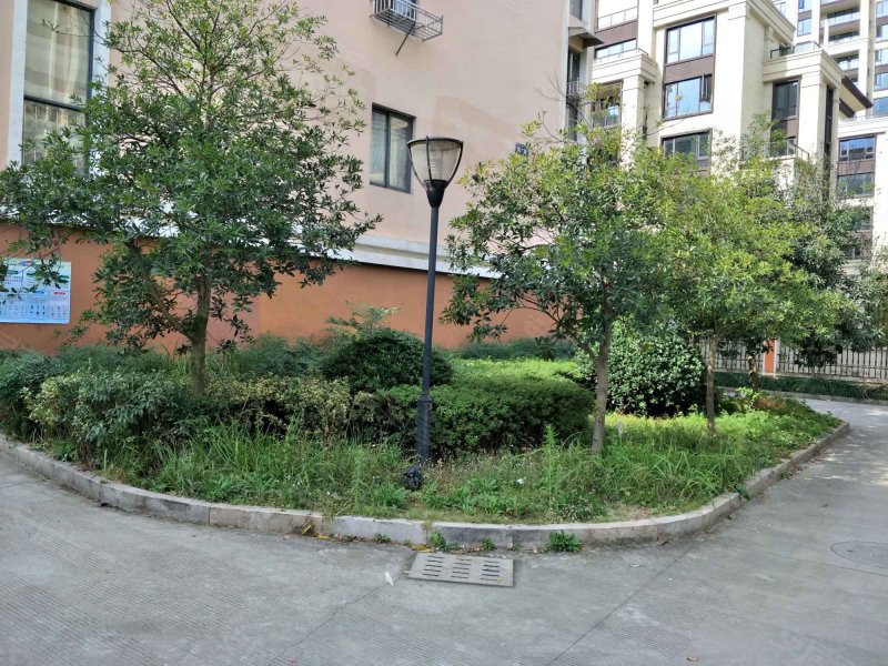 瑞都锦园,老涂南路-温州瑞都锦园二手房,租房,房价-温州安居客