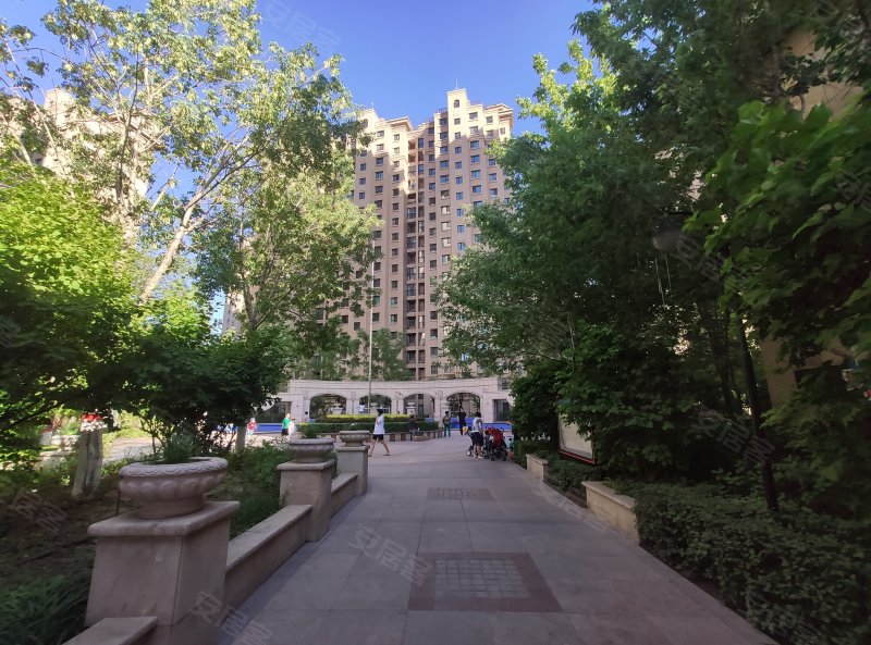 马德里春天(一期)