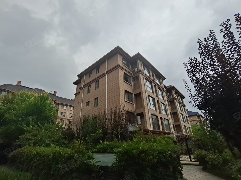 大同天下罗纳香颂