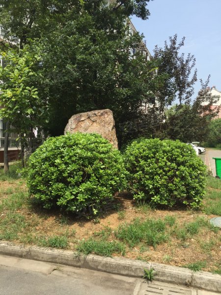 东风小区(巢湖市)