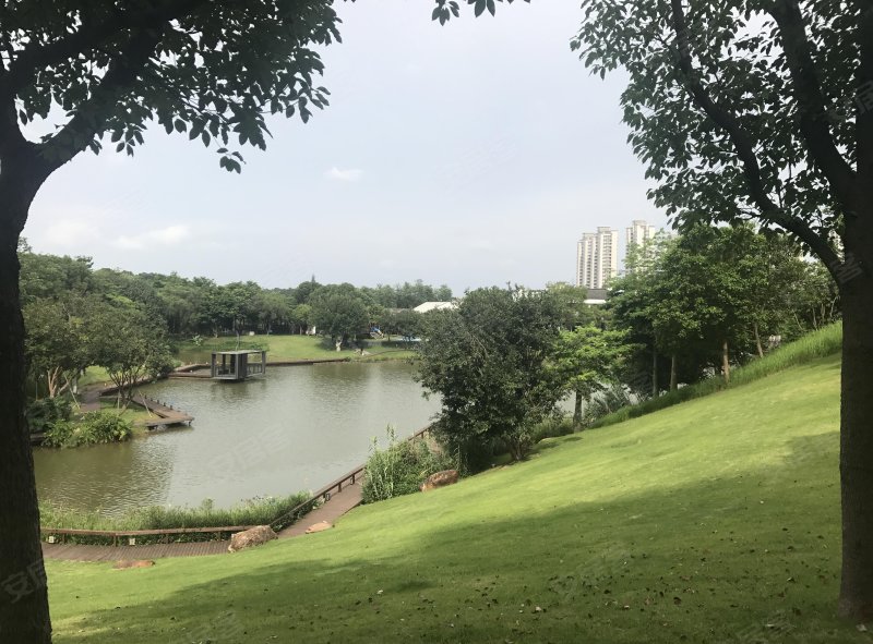 万科棠樾,林坪路-东莞万科棠樾二手房,租房,房价-东莞安居客