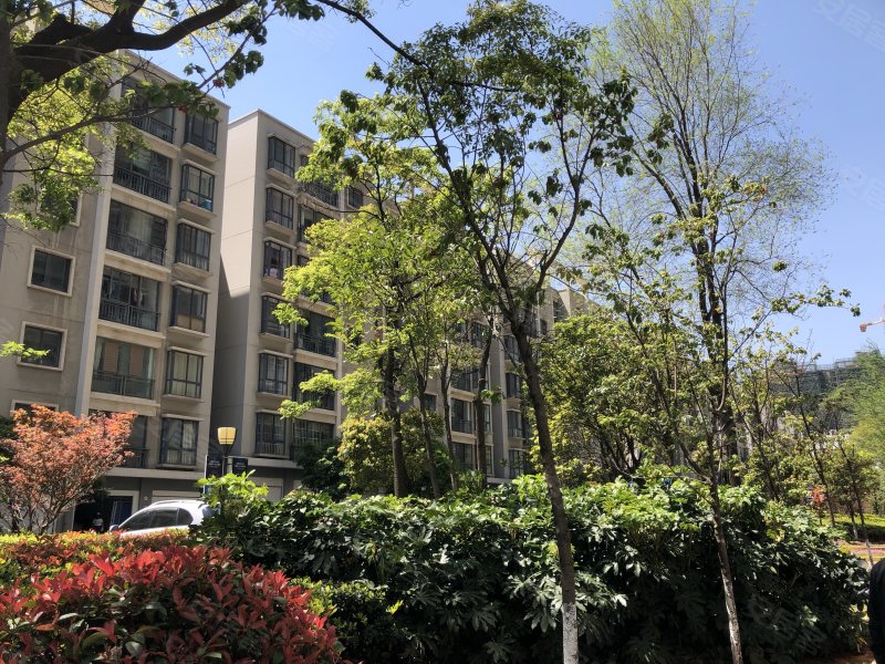 翠湖湾,三江大道,近瑞华南路-曲靖翠湖湾二手房,租房,房价-曲靖安居客