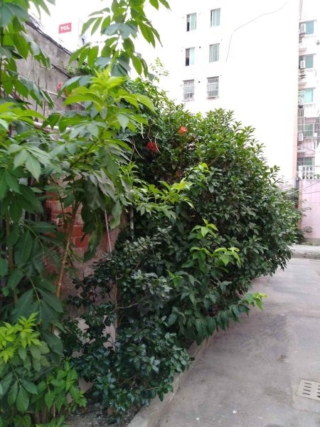 闸航路2589弄小区 