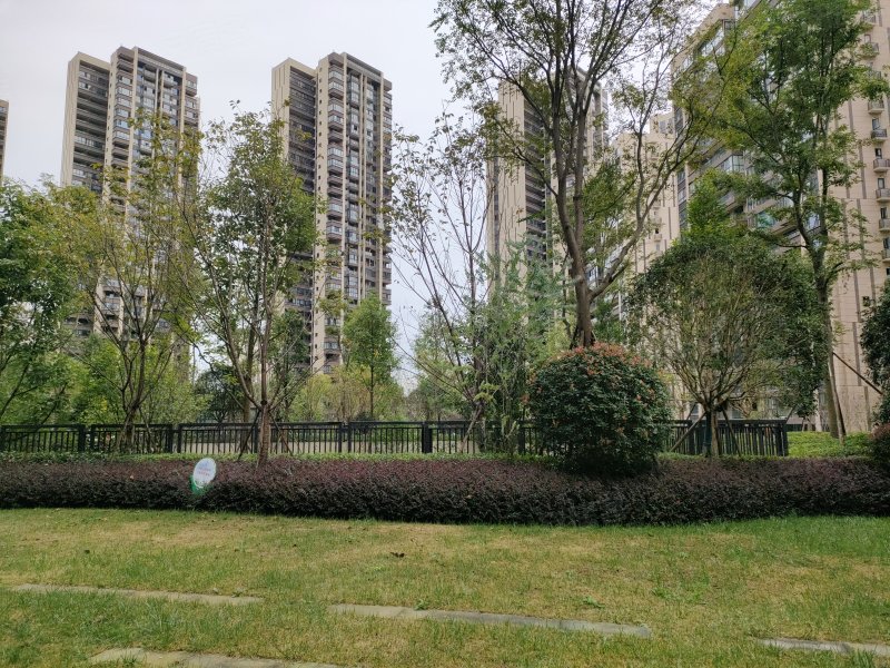 圣桦名城,希望大道-资阳圣桦名城二手房,租房,房价-资阳安居客