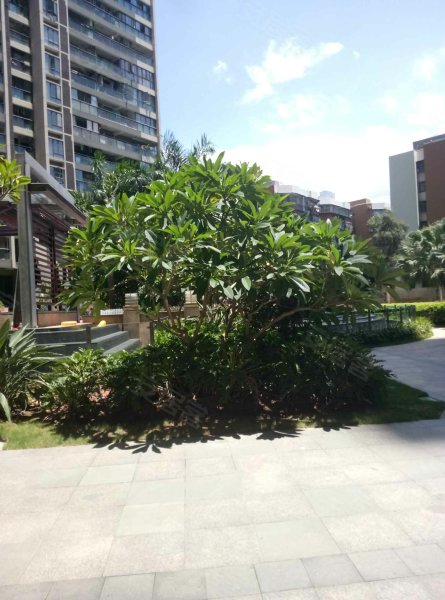 田厦翡翠明珠花园