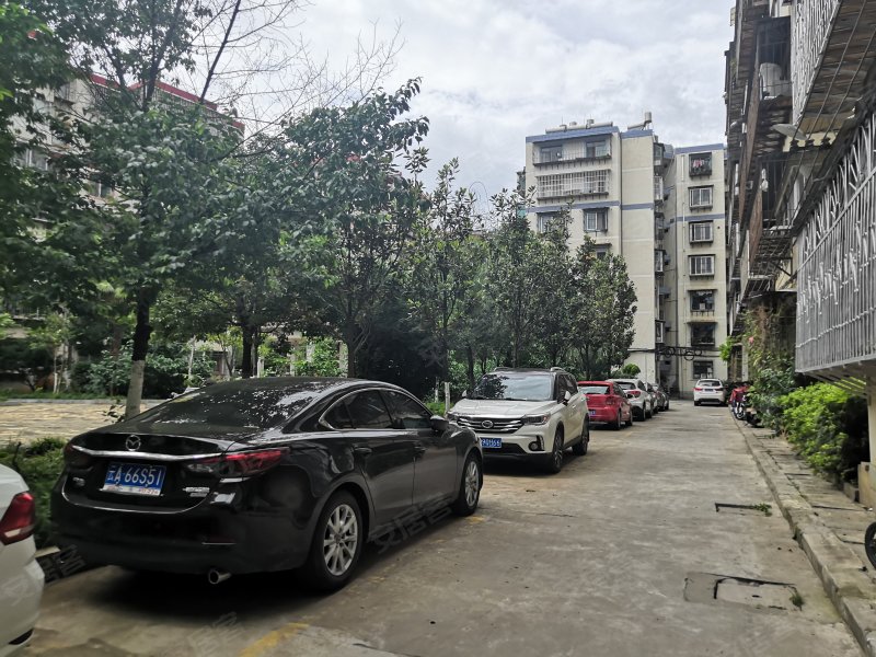 金桥花园南区,金桥路39号-昆明金桥花园南区二手房,租房,房价-昆明