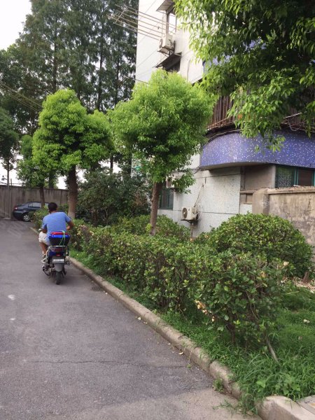 泰和新城(3493弄)