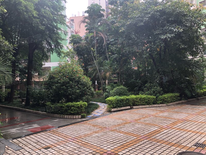 好景花园,迎宾大道-江门好景花园二手房,租房,房价-江门安居客