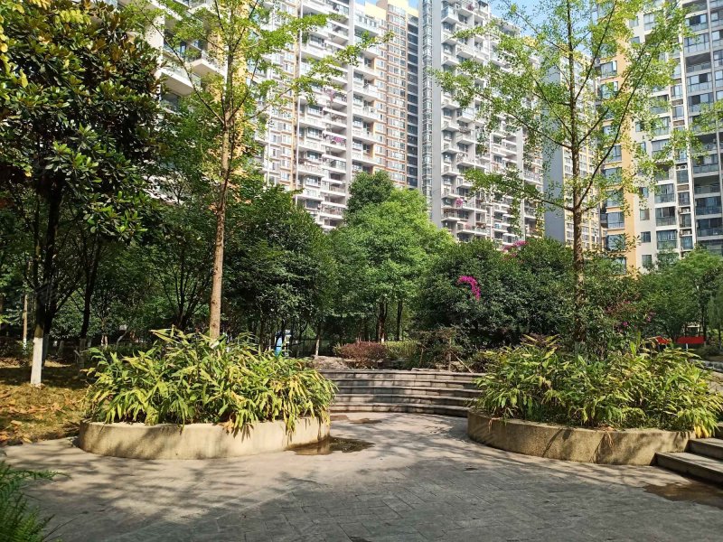 师大现代花园(商住楼),龙城大道9号-成都师大现代花园(商住楼)二手房