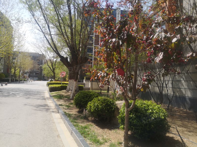 凯威观湖壹号(公寓住宅),天平街-银川凯威观湖壹号(公寓住宅)二手房