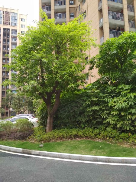 迎霞新城北区,先农路8号-福州迎霞新城北区二手房,租房,房价-福州安居