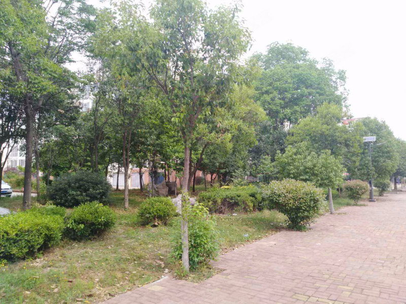 凯泰庄园,滨河路-达州凯泰庄园二手房,租房,房价-达州安居客