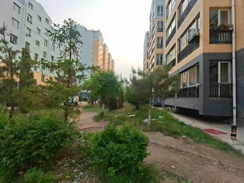 同地御东学府区丽园,109国道-大同同地御东学府区丽园二手房,租房