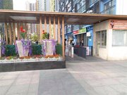 菊树小区图片
