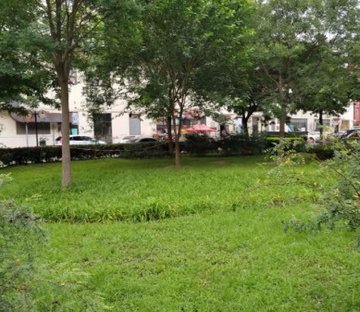 远洋天著春秋晓山