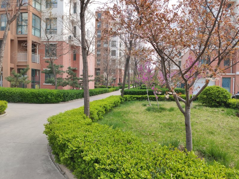 世纪花园(三期),南山中路-烟台世纪花园(三期)二手房,租房,房价-烟台