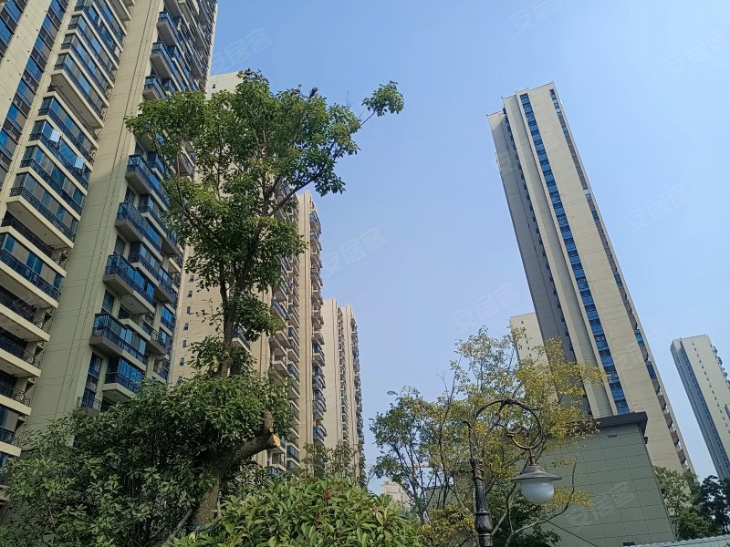 阳光城文澜府,八里松路,近中清路-阜阳阳光城文澜府二手房,租房,房价