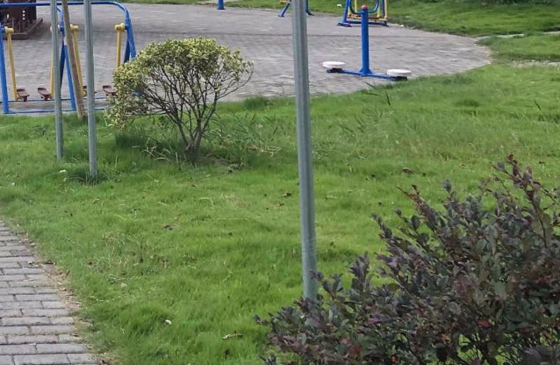 申城佳苑三期B块 