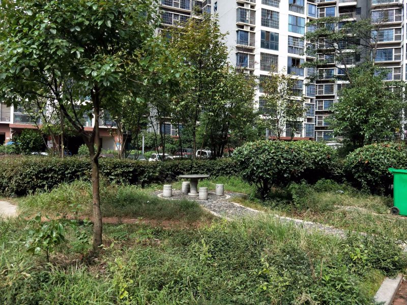 圣华名城,建设北路-株洲圣华名城二手房,租房,房价-株洲安居客