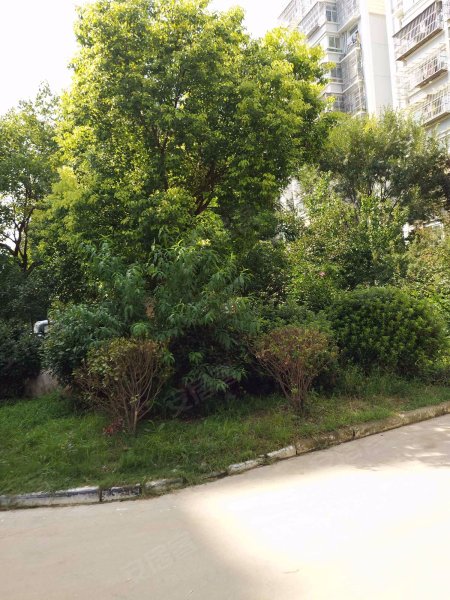 碧水湾(北区),泉新路,翟北路-徐州碧水湾(北区)二手房,租房,房价-徐州