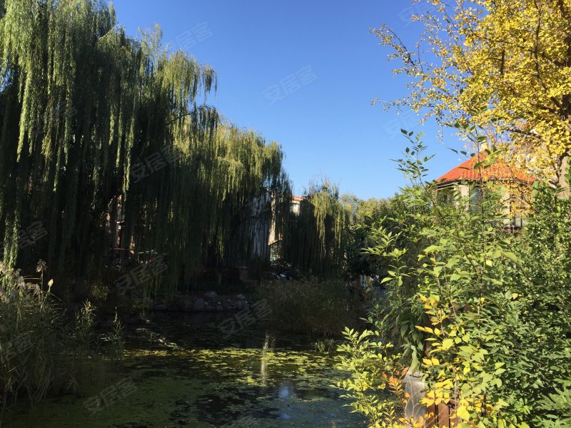 中海安德鲁斯庄园(西区)