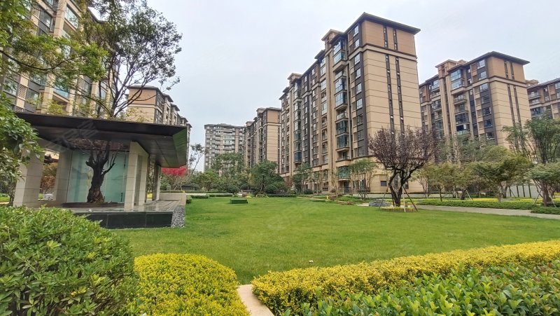 长水航城春风里