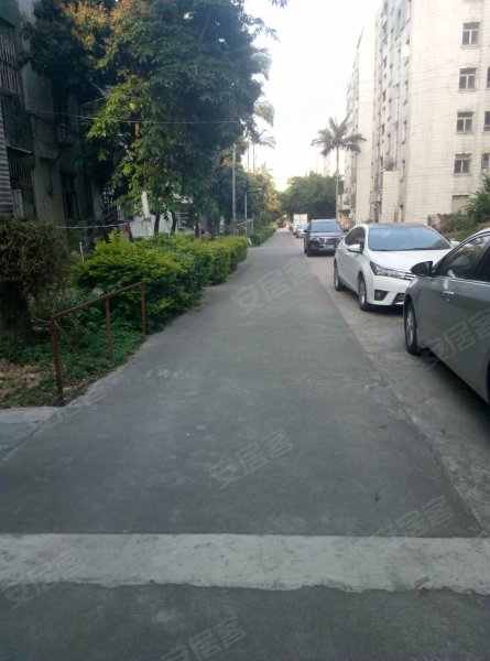 新城花园(龙岗),锦琼路82号-深圳新城花园(龙岗)二手房,租房,房价