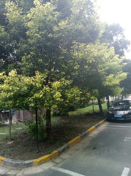 沙申新村,沪青平公路635弄1-33号-上海沙申新村二手房,租房,房价-上海