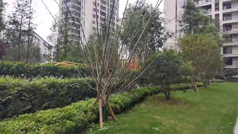 泰吉同诚悦府