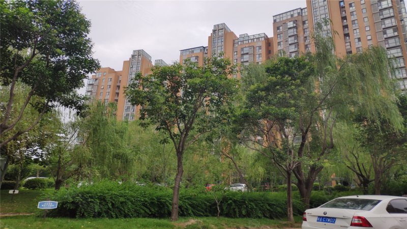 浐灞半岛朱雀金堤a15区