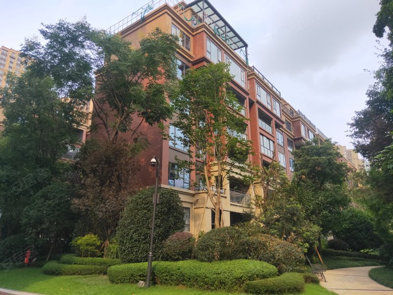 鸿通凤凰国际,三苏路,近瑞祥路-乐山鸿通凤凰国际二手房,租房,房价