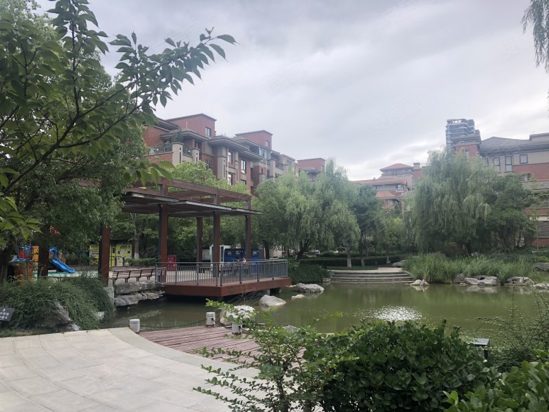 鸿园梧桐苑,鸿苑路-郑州鸿园梧桐苑二手房,租房,房价-郑州安居客