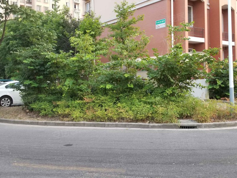 民乐城丽园北园 