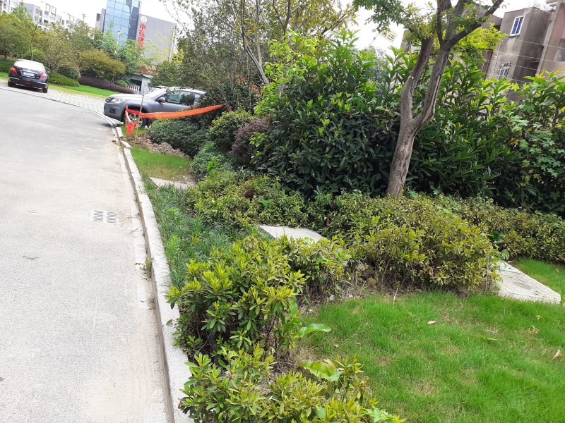 大自然城市花园(二期西区)