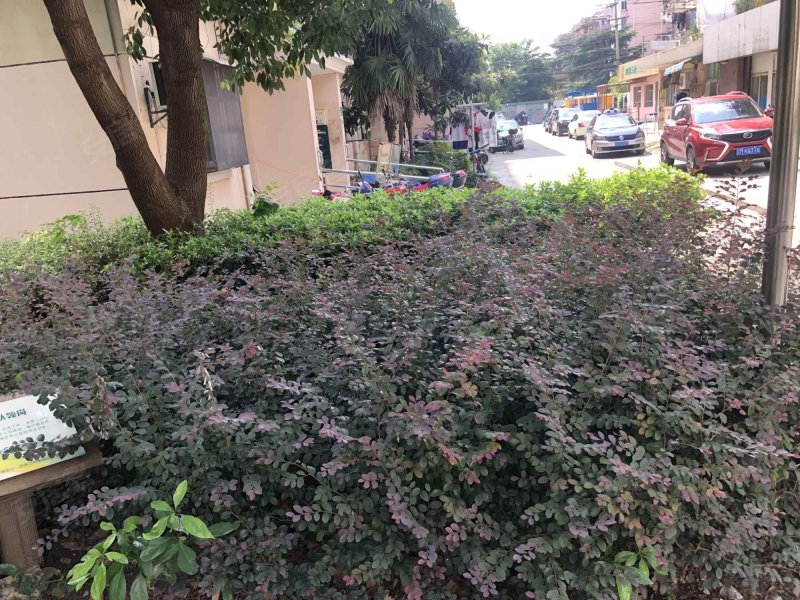 泗塘三村(1-105号) 