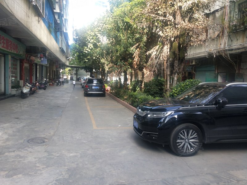 金龙花园,嵩山南路-汕头金龙花园二手房,租房,房价-汕头安居客