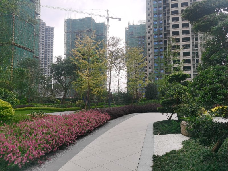 金府名门,阜成路东段-眉山金府名门二手房,租房,房价-眉山安居客