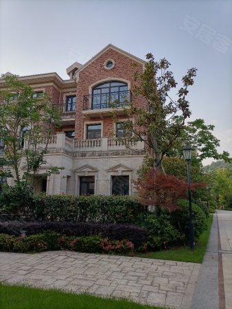 中央山公馆别墅