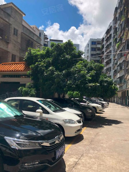 东城花园,澄波街23号-广州东城花园二手房,租房,房价-广州安居客