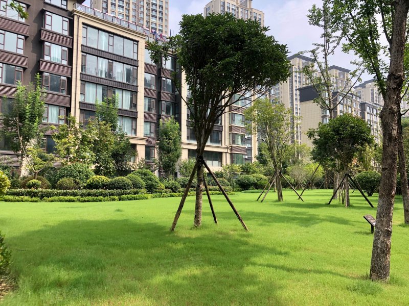 舒格兰(二期),南京路-临沂舒格兰(二期)二手房,租房,房价-临沂安居客