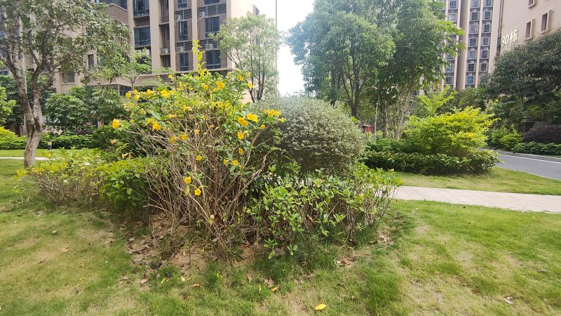 碧桂园品清湖一号,海滨大道-汕尾碧桂园品清湖一号二手房,租房,房价