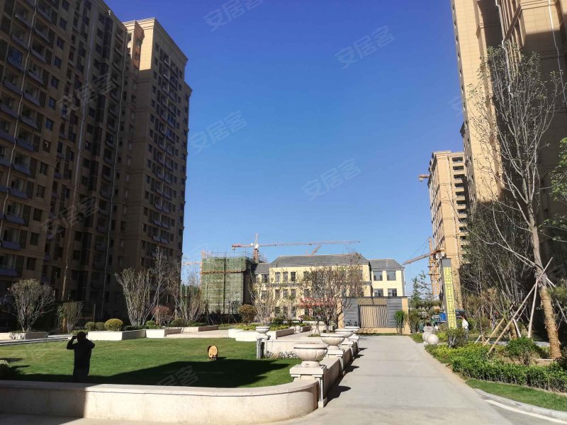 阅城国际名城,西安路,近黄河路-菏泽阅城国际名城二手房,租房,房价