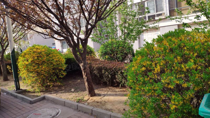 利园小区,东环路-秦皇岛利园小区二手房,租房,房价-秦皇岛安居客