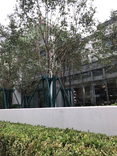 中南春溪集